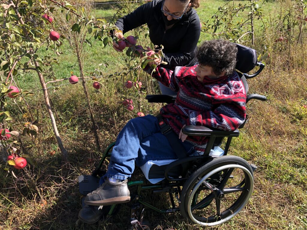 Picking all the best apples